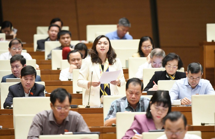 Nhiều đại biểu tán thành việc đưa phân bón vào đối tượng chịu thuế GTGT 5% Nhiều đại biểu tán thành việc đưa phân bón vào đối tượng chịu thuế GTGT 5%