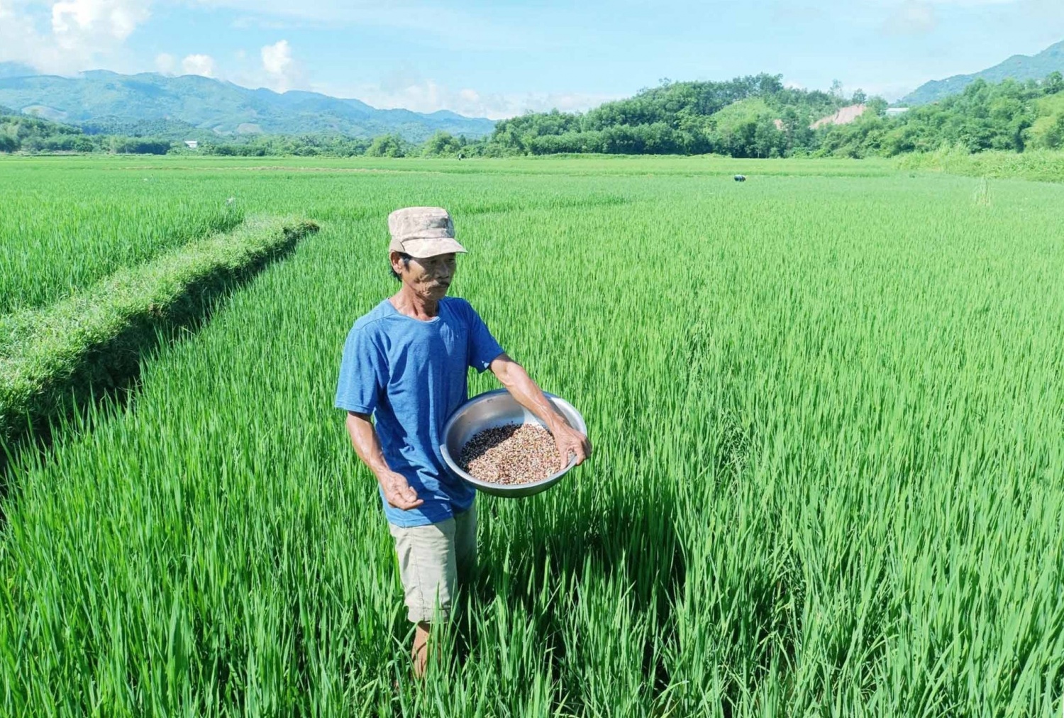 Người nông dân có cơ hội giảm chi phí sản xuất khi phân bón chịu thuế GTGT 5% Người nông dân có cơ hội giảm chi phí sản xuất khi phân bón chịu thuế GTGT 5%