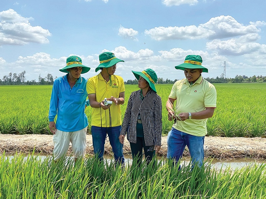 Áp thuế GTGT phân bón 5% lợi ích thiết thực cho nông nghiệp nông dân Áp thuế GTGT phân bón 5%, lợi ích thiết thực cho nông nghiệp nông dân