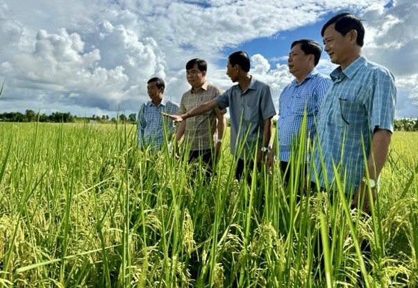 Nhà nông mong muốn chính sách góp phần giúp giá phân bón hạ nhiệt Ý kiến nhà nông về giá phân bón 1