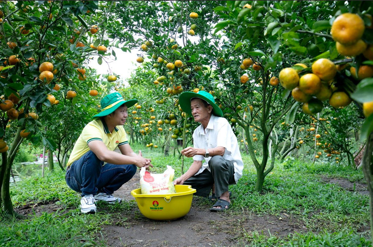 Nhà nông mong muốn chính sách góp phần giúp giá phân bón hạ nhiệt Ý kiến nhà nông về giá phân bón 2