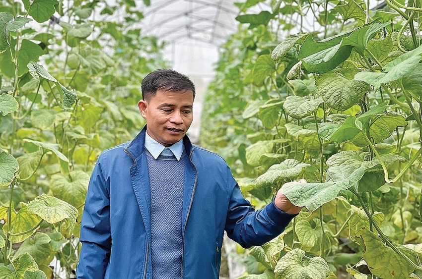 Cách hỗ trợ từ gốc cho sản xuất nông nghiệp Ông Nguyễn Tuấn Hồng - HTX Bắc Hồng