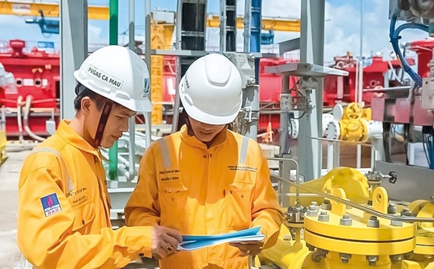 Cần cơ chế đặc thù cho các Tập đoàn chủ đạo trong nền kinh tế Kiến nghị giao Chính phủ ban hành cơ chế đặc thù cho các Tập đoàn chủ đạo trong nền kinh tế