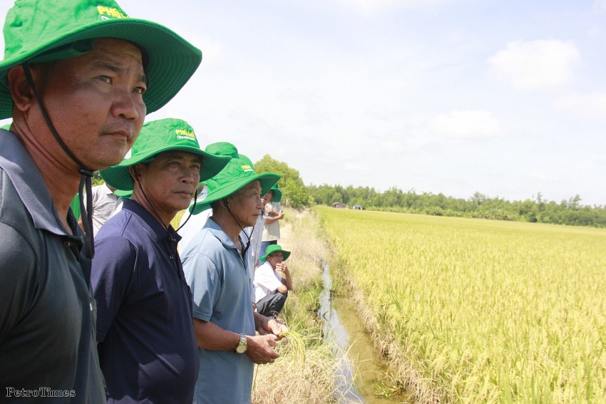 Vì sao khi áp thuế GTGT 5% lại tạo điều kiện giảm giá phân bón? Vì sao khi áp thuế GTGT 5% lại tạo điều kiện giảm giá phân bón?
