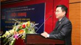 DMC đạt doanh thu 600 tỷ đồng trong năm 2009