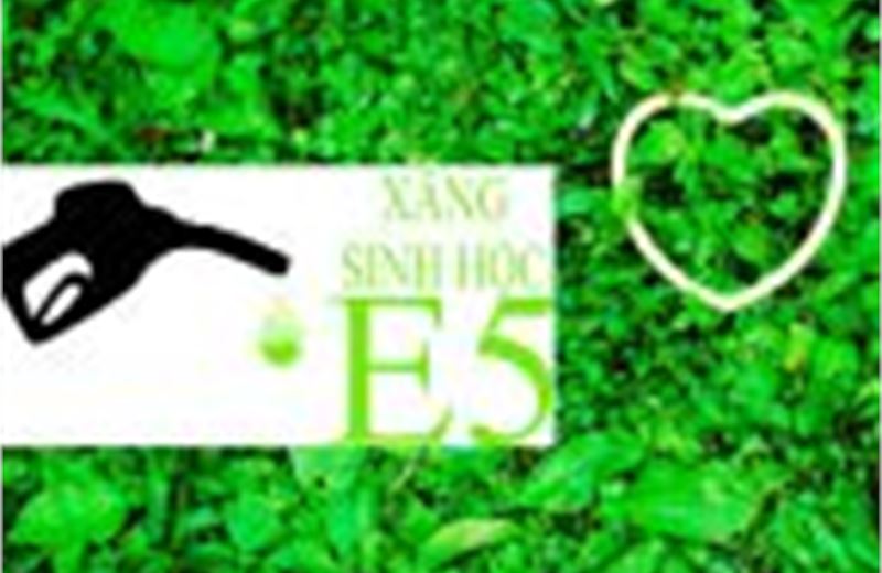 Sản xuất nhiên liệu sinh học gắn liền với lợi ích của nông dân 