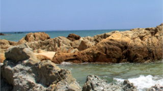 TẠP CHÍ DẦU KHÍ (SỐ 6/2014)